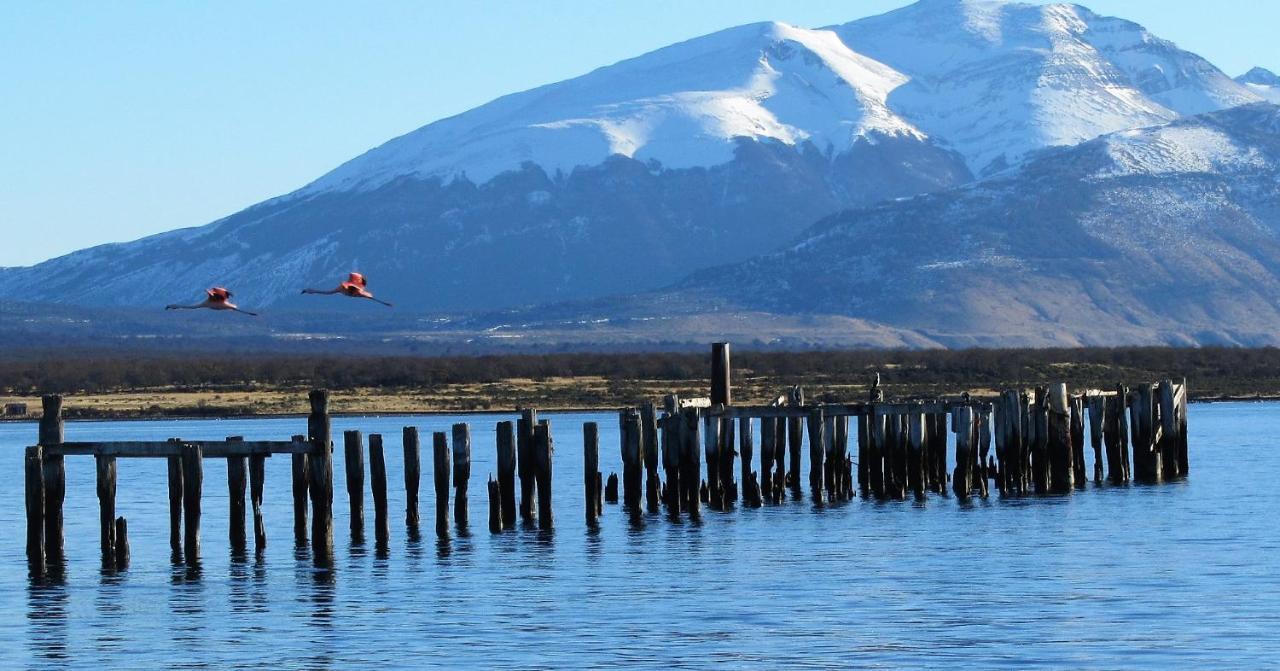 Patagonia Swiss House Otel Puerto Natales Dış mekan fotoğraf